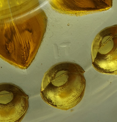 Amber Crown Crystal Australia juicer top view