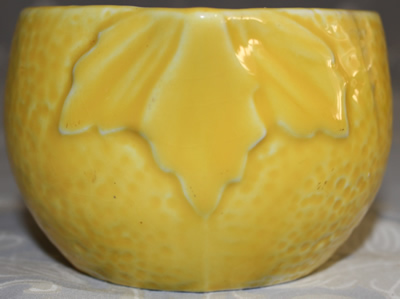 Leaves under pouring spout of  yellow jug Mimosa juicer