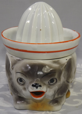 Face view of a grey dog with white juicer with red trim