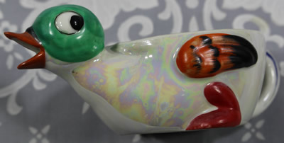 Showing the lustre body on a green head orange beak chicken lustre juicer