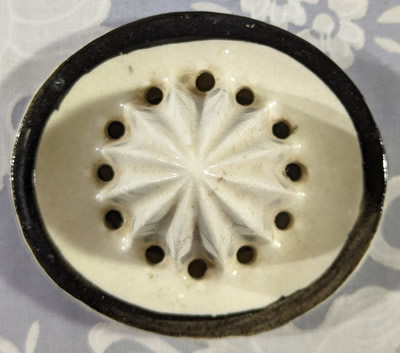 Juicer insert for large blue beak white stylised parrot juicer