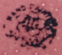 Japanese base mark