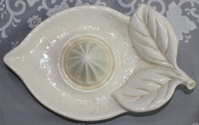 Top view of a white citrus with leaves saucer shape juicer 
