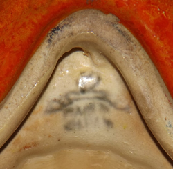 Basemark on a 2nd copy of red/orange cold painter strainer juicer