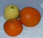 Fruit.jpg (10812 bytes)