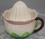 Water Lily Carlton Ware juicer