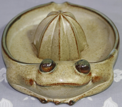 Frog UCTCI Japanese juicer