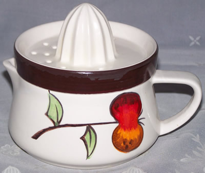 Fruit on 2 piece large juicer with black top