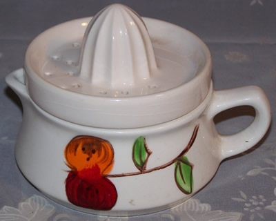 Fruit on white 2 piece juicer